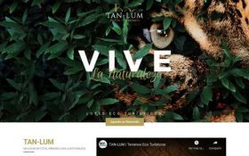 Sky 6 Marketing Extravaganza | Diseño Web, Programación Web